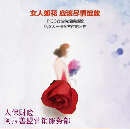 人保财险阿拉善盟营销服务部